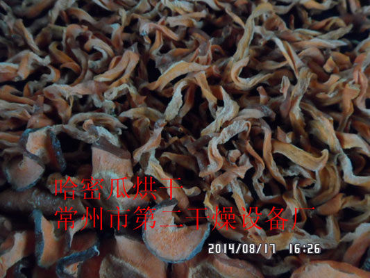 DWD 帶式脫水蔬菜干燥機