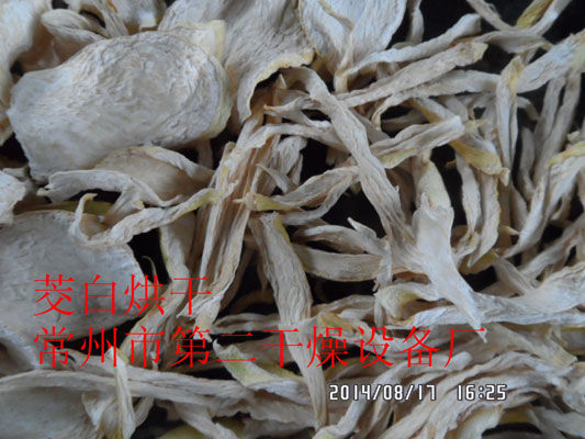 DWD 帶式脫水蔬菜干燥機