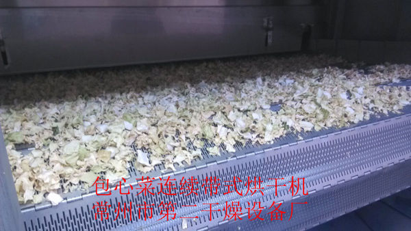 DWD 帶式脫水蔬菜干燥機